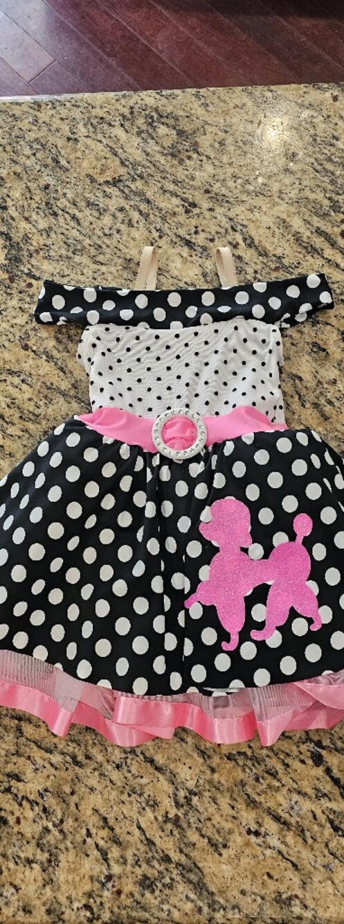 50s Style Costume